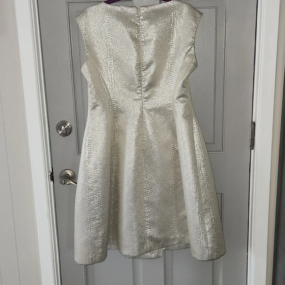 Anne Klein Shimmering Silver A-Line Mini Dress Sz. 16 NWT - Picture 4 of 9
